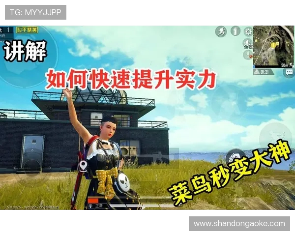 和平精英评论：深入分析EDG在防守中的优缺点与战术调整