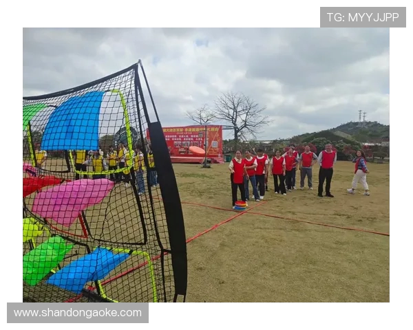 黄强独家分享飞盘技巧与心得体会助你提升飞盘水平的秘密秘籍